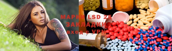 индика Алексин