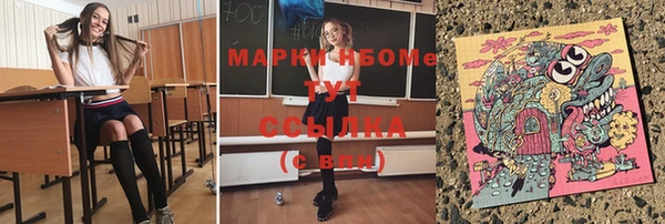 индика Алексин