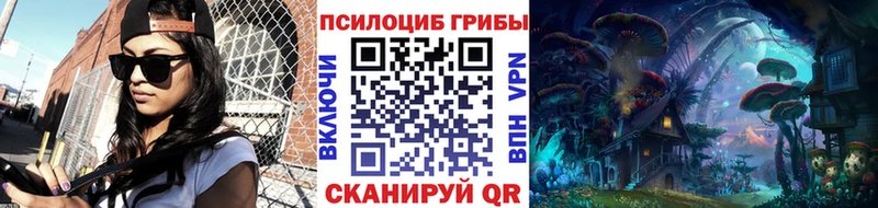 магазин продажи наркотиков  Бийск  Галлюциногенные грибы Psilocybine cubensis 